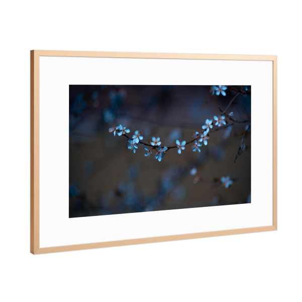 Poster mit Rahmen Kupfer "Blüten im Frühling" artboxONE - Natur,Floral