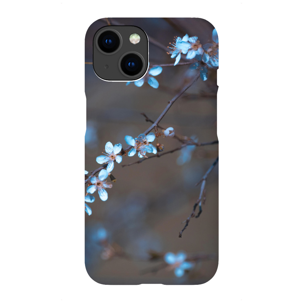 "Blüten im Frühling"für iPhone - Premium-Case Handyhülle artboxONE