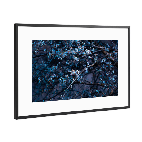 Poster mit Rahmen Schwarz (Metallic) "Blütenrausch" artboxONE - Natur,Floral