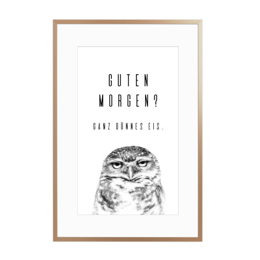 Guten Morgen Eule