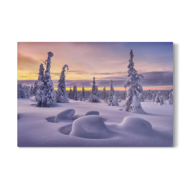 Galerie-Print "Winterwunderland in Finnland" 30x20 cm artboxONE