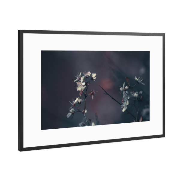 Poster mit Rahmen Schwarz (Metallic) "Frühlingsblüten" artboxONE - Natur,Floral