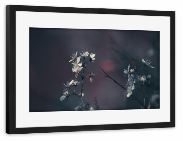 Poster mit Rahmen schwarz "Frühlingsblüten" artboxONE - Natur,Floral