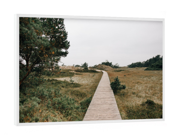 Poster mit weißem Rahmen "Dünenweg Darß" artboxONE - Natur,Reise,Reise / Strand und Meer