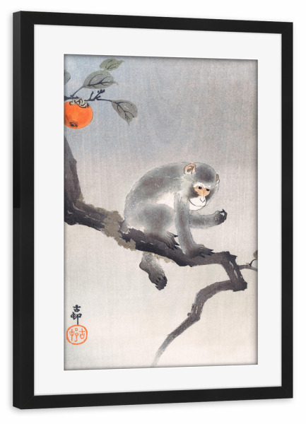 Poster mit Rahmen schwarz "Affe im Kakadu" artboxONE - Natur,Für Kinder,Tiere,Reise / Asien,Für Mama