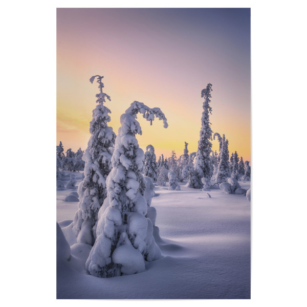 Poster 30x20 cm "Gefrostete Bäume" artboxONE - Natur,Reise