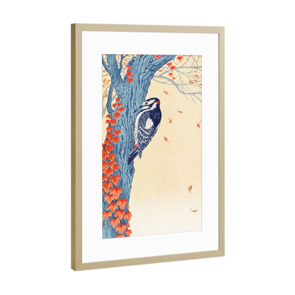 Poster mit Rahmen Gold "Buntspecht" artboxONE - Natur,Für Kinder,Tiere,Reise / Asien,Für Mama