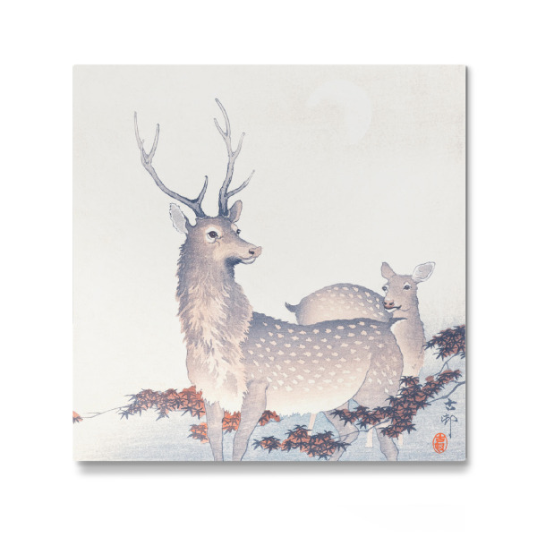 Galerie-Print "Ein paar Hirsche" 30x30 cm artboxONE