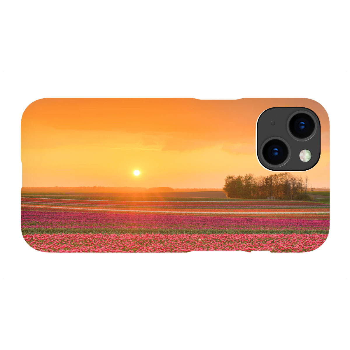 "Tulpenfeld im Sonnenuntergang"für iPhone - Premium-Case Handyhülle artboxONE