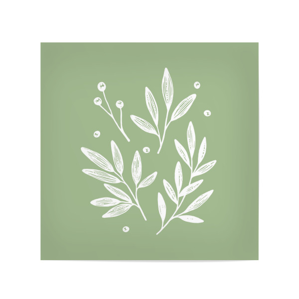 Poster 20x20 cm "Botanisches Grün" artboxONE - Floral - Grün,Botanisch,Botanische,Blume,Blumen,Pflanzen,Blatt,Niedlich,Blüte,Frühling,Sommer,Hübsch