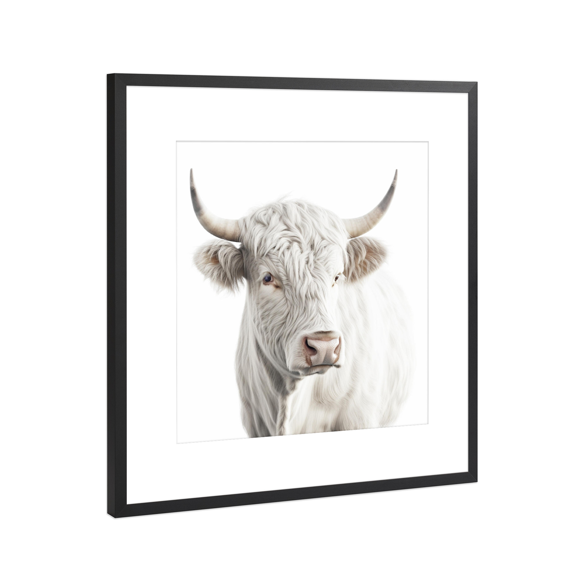 Poster mit Rahmen Schwarz (Metallic) "Weißes Rind Portrait" artboxONE - Tiere - Rind,Stier,Hörner,Portrait,Minimalistisch,Weiß,Tier,Tierportrait,Milch