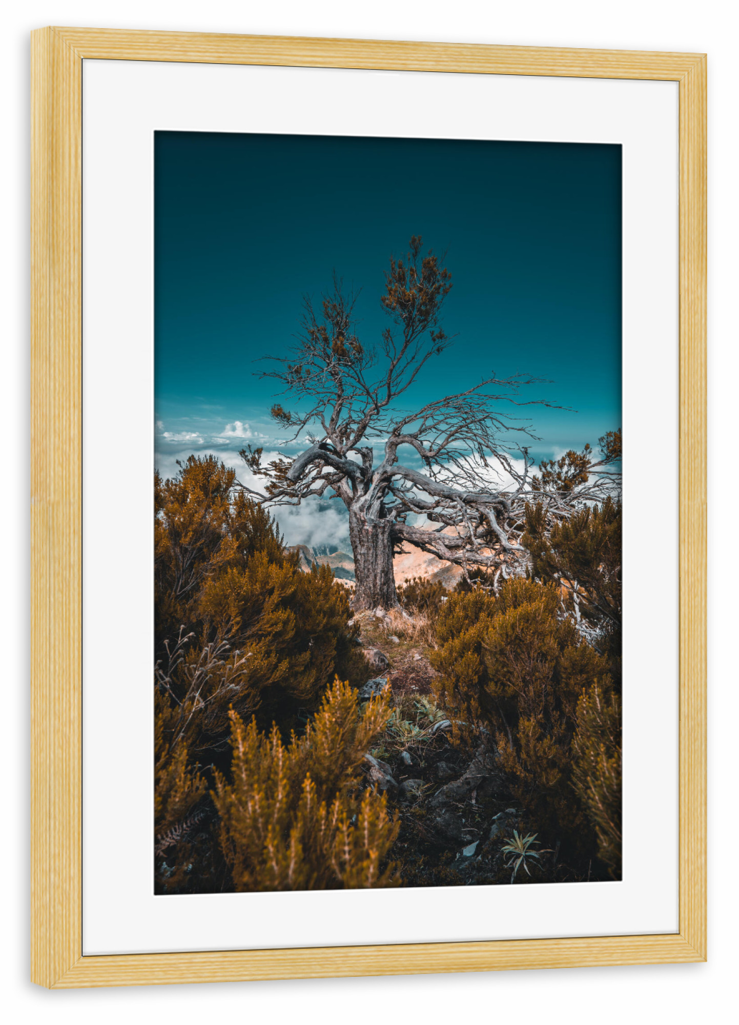 Poster mit Rahmen kiefer "Pico Ruivo - Madeira" artboxONE - Natur,Reise,Reise / Länder