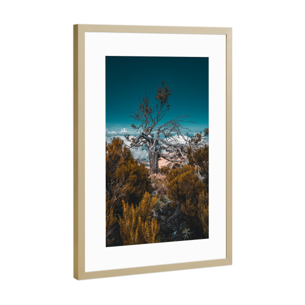 Poster mit Rahmen Gold "Pico Ruivo - Madeira" artboxONE - Natur,Reise,Reise / Länder