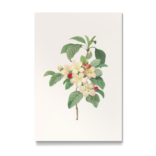 Galerie-Print "Vintage antike Blume - f" 30x20 cm artboxONE