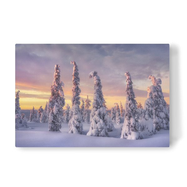 Leinwandbild "Wesen aus Eis und Schnee" artboxONE - Natur,Reise