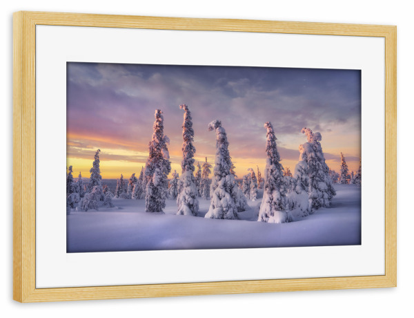 Poster mit Rahmen kiefer "Wesen aus Eis und Schnee" artboxONE - Natur,Reise