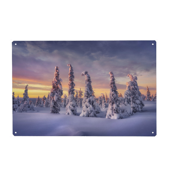 Holzbild "Wesen aus Eis und Schnee" artboxONE - Natur,Reise