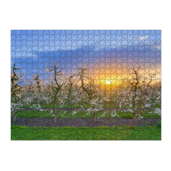 Puzzle Ravensburger "Blühende Apfelbäume im Frühling" artboxONE - Natur