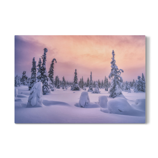 Galerie-Print "Nordisches Licht" 30x20 cm artboxONE