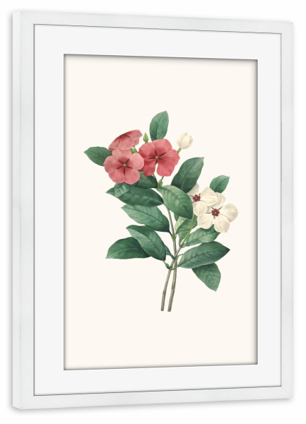 Poster mit Rahmen weiß "Vintage antike Blume - g" artboxONE - Floral