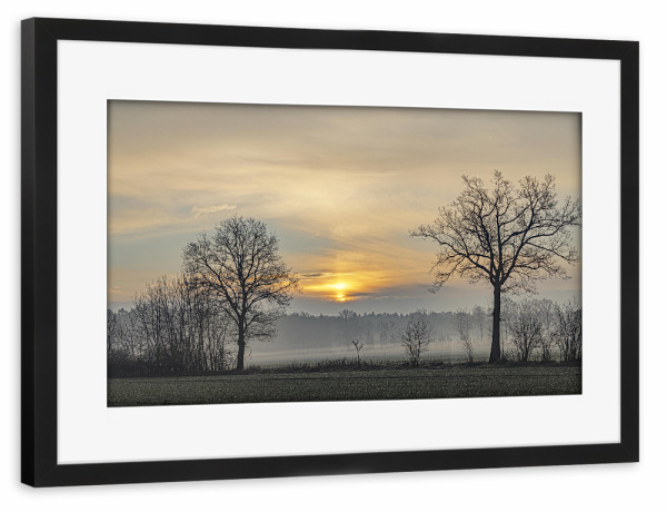 Poster mit Rahmen schwarz "Früh morgens" artboxONE - Natur - Sonnenaufgang,Jahreszeit,Tagesbeginn,Winter,Bäume,Sonne