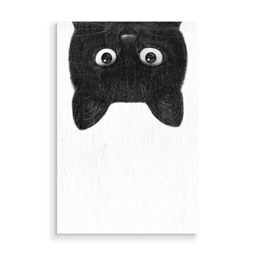 Peeping black cat Peeping black cat