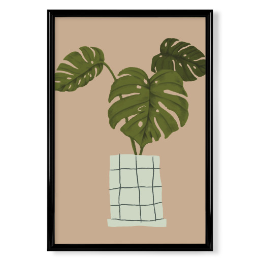 Botanic home - plant second