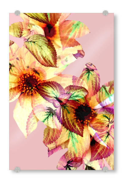 Acrylglasbild "Flower-Power-Kunst" artboxONE - Floral