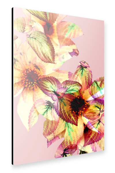 Alu-Dibond "Flower-Power-Kunst" 30x20 cm artboxONE