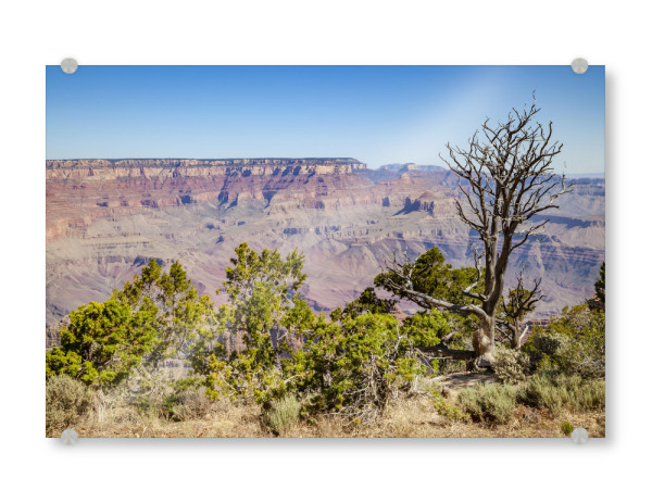 Acrylglasbild "GRAND CANYON Navajo Point" artboxONE - Natur,Reise,Reise / Länder