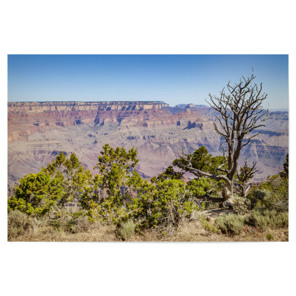 Poster "GRAND CANYON Navajo Point" artboxONE - Natur,Reise,Reise / Länder