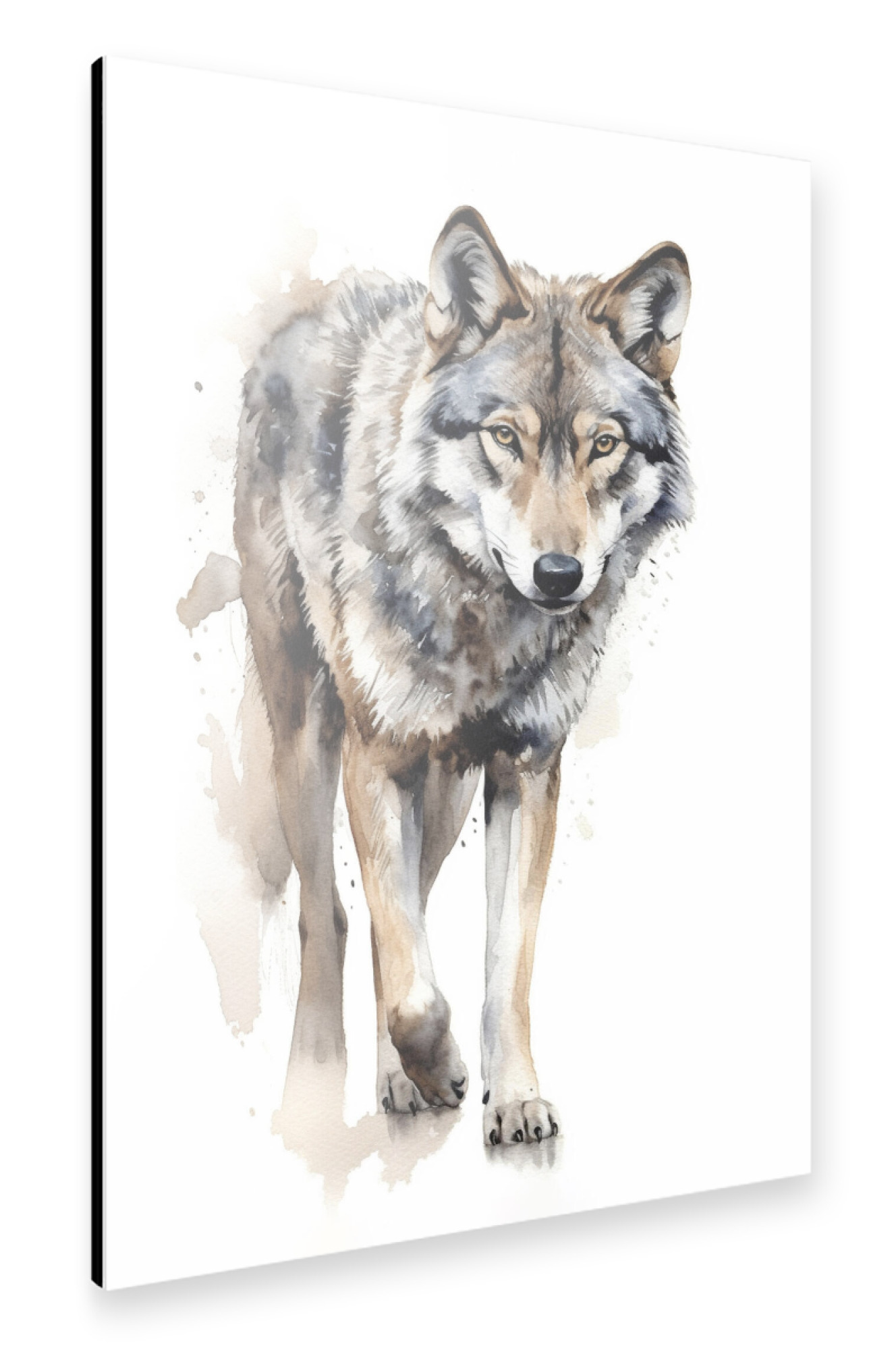 Alu-Dibond "Aquarell Wolf" 30x20 cm artboxONE