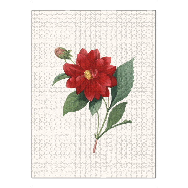 Puzzle Ravensburger "Vintage antike Blume - b" artboxONE - Natur,Floral - Blume,Blumen,Vintage,Antik,Blüte,Illustration,Klassisch,Blüte,Rot,Rose