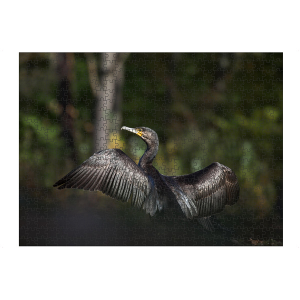 artboxONE Puzzle "Kormoran" artboxONE - Natur,Tiere - Kormorane,Vogel,Wasservogel,Federn,Flügel,Vogelfotografie,Wildlife,Naturfoto,Tier