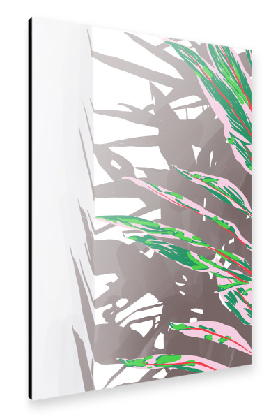 Alu-Dibond "Pflanze & Schatten" 30x20 cm artboxONE