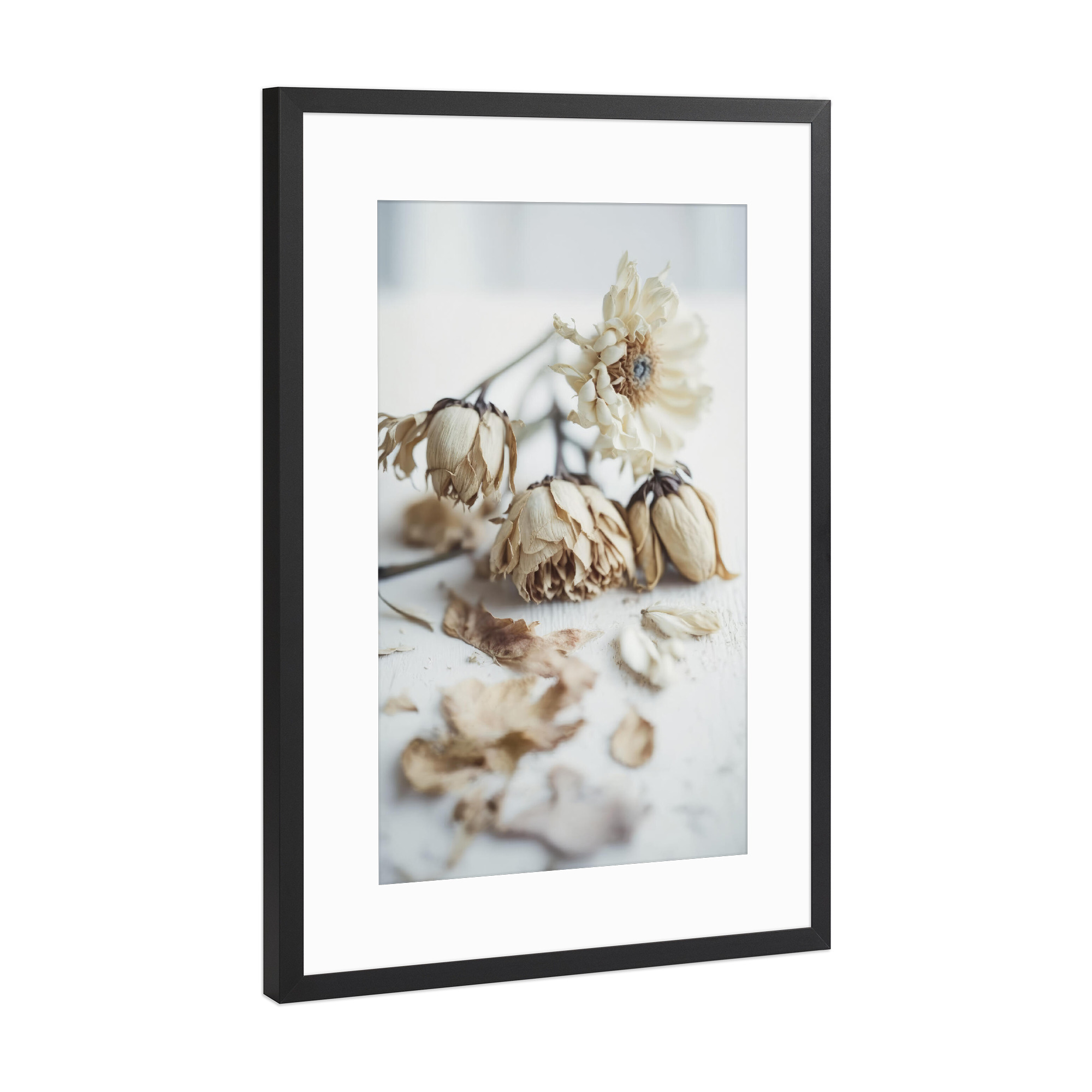 Poster mit Rahmen Schwarz (Metallic) "Transience" artboxONE - Natur,Floral,Für Mama