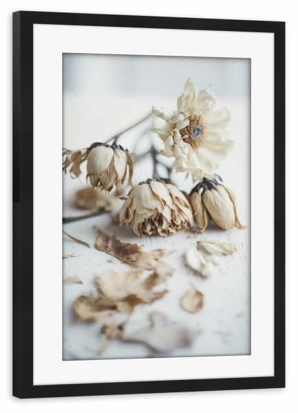 Poster mit Rahmen schwarz "Transience" artboxONE - Natur,Floral,Für Mama