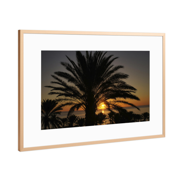 Poster mit Rahmen Kupfer "Fuerteventura - Palme im Sunrise" artboxONE - Städte,Natur,Reise,Reise / Strand und Meer,Reise / Länder