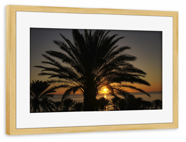 Poster mit Rahmen kiefer "Fuerteventura - Palme im Sunrise" artboxONE - Städte,Natur,Reise,Reise / Strand und Meer,Reise / Länder