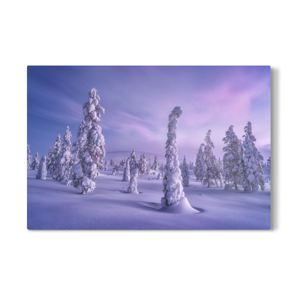Galerie-Print "Schneelandschaft im Morgenlicht" 30x20 cm artboxONE