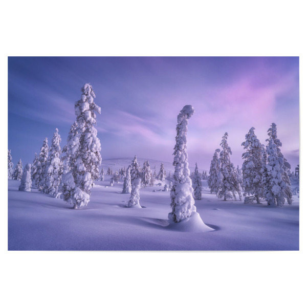 Poster 30x20 cm "Schneelandschaft im Morgenlicht" artboxONE - Natur,Reise