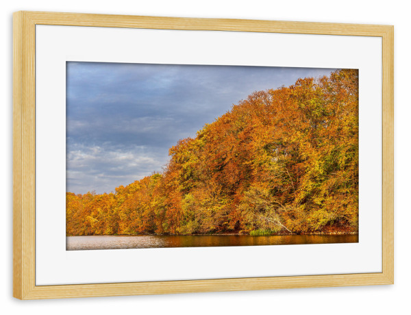 Poster mit Rahmen kiefer "Herbstfarben am See" artboxONE - Natur,Reise