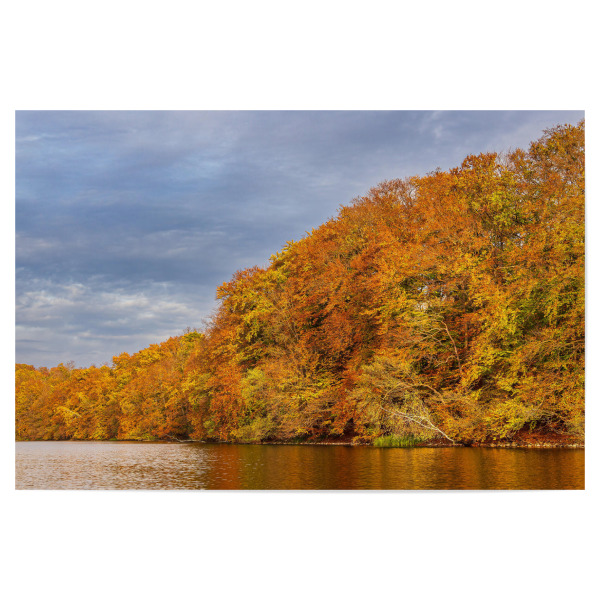 Poster 30x20 cm "Herbstfarben am See" artboxONE - Natur,Reise