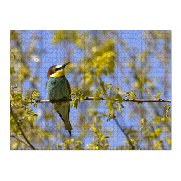 Puzzle Ravensburger "Bienenfresser auf einem Ast" artboxONE - Natur,Tiere - Bienenfresser,Vogel,Natur,Wildlife - Bild bienenfresser