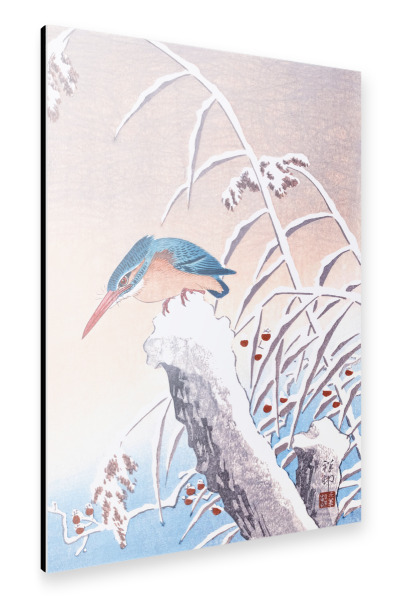 Alu-Dibond "Eisvogel im Schnee" 30x20 cm artboxONE