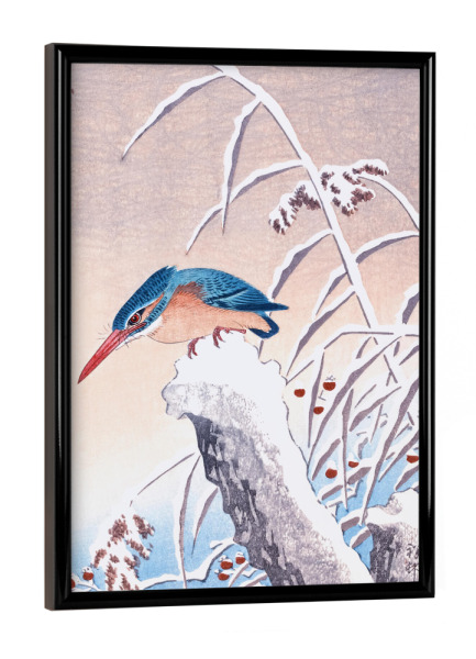 Poster mit schwarzem Rahmen "Eisvogel im Schnee" artboxONE - Natur,Für Kinder,Tiere,Reise / Asien,Für Mama