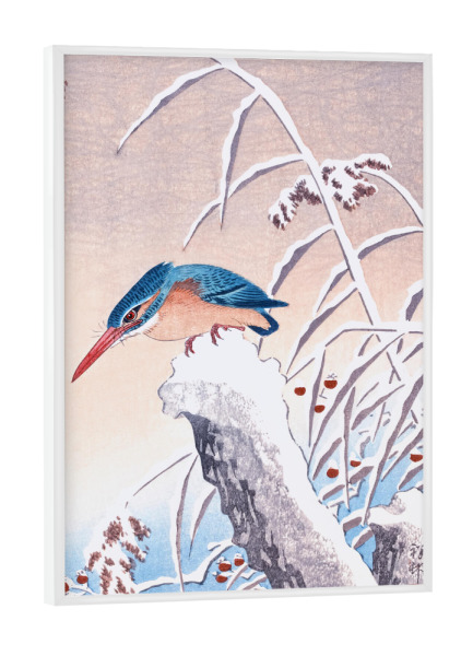 Poster mit weißem Rahmen "Eisvogel im Schnee" artboxONE - Natur,Für Kinder,Tiere,Reise / Asien,Für Mama