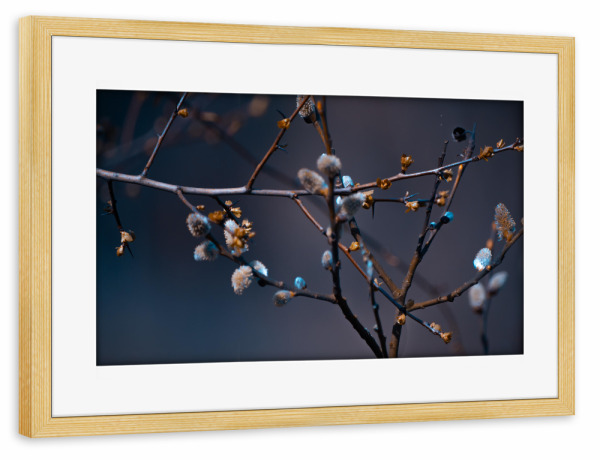 Poster mit Rahmen kiefer "Weidenbaum" artboxONE - Natur,Floral