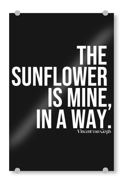 Acrylglasbild "Sonnenblumenzitat von Vincent BW" artboxONE - Typografie,Schwarzweiß