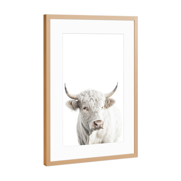 Poster mit Rahmen Kupfer "Portrait Rind Stier" artboxONE - Tiere - Rind,Weiß,Hörner,Tier,Stier,Minimalist,Portrait,Tierportrait,Kuh